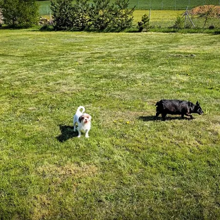 Bajtkowski Zakatek * Bajtkowo