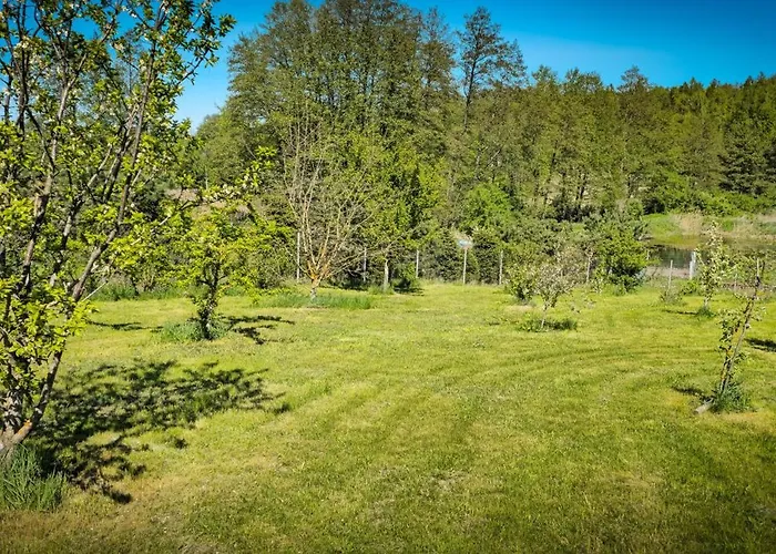 Bajtkowski Zakatek *